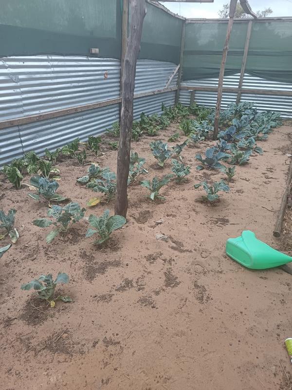 2 Bedroom Property for Sale in Albertinia Western Cape